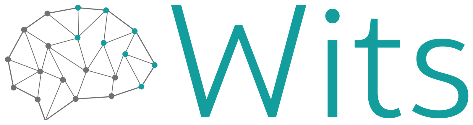 Wits Logo